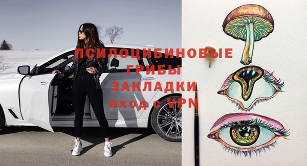 apvp Алзамай