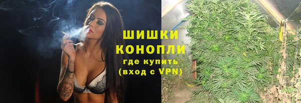 apvp Алзамай