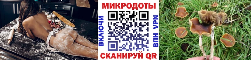 Галлюциногенные грибы Cubensis  Ейск 